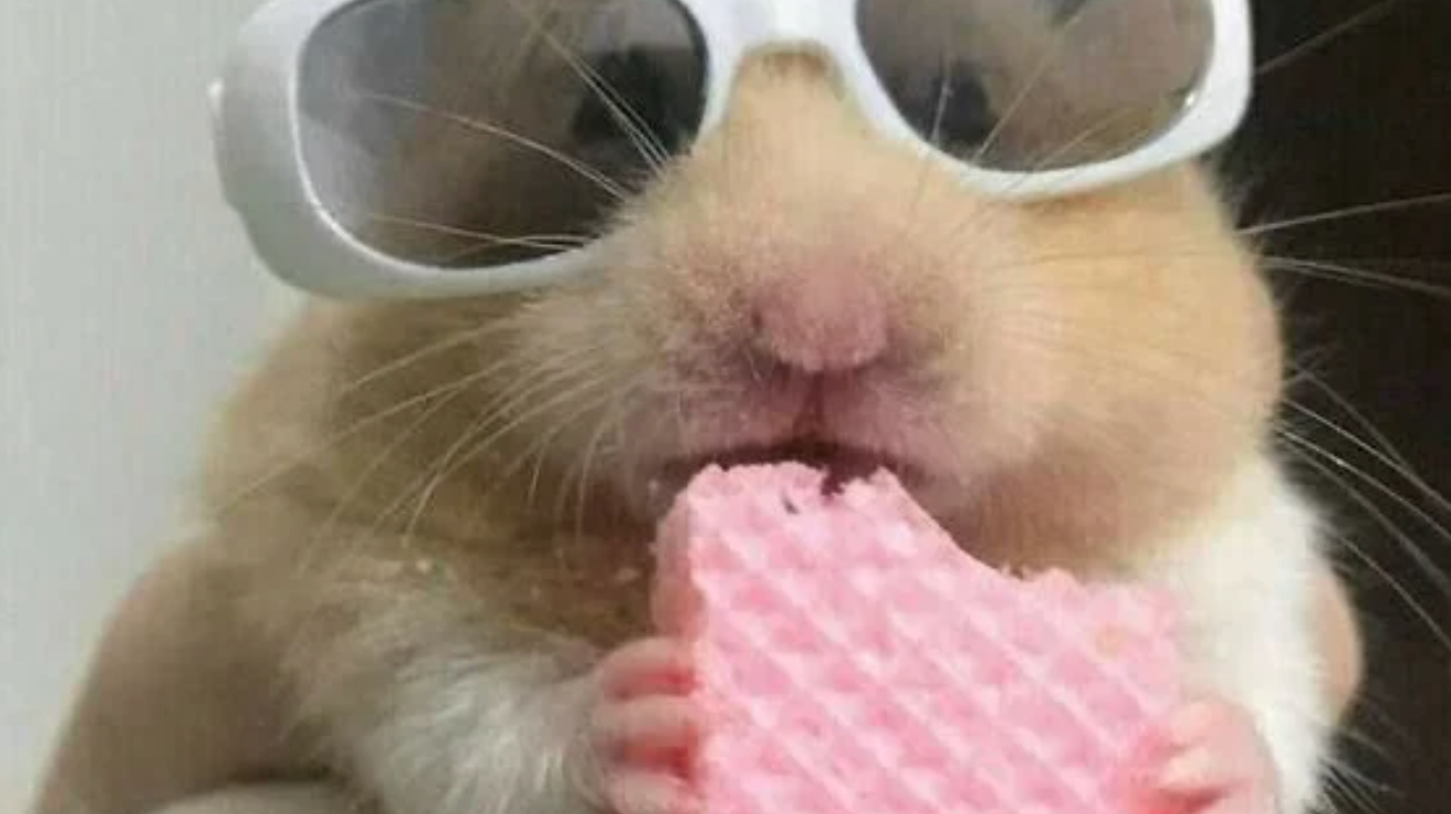 brides during the holiday season and staying on top of wedding planning