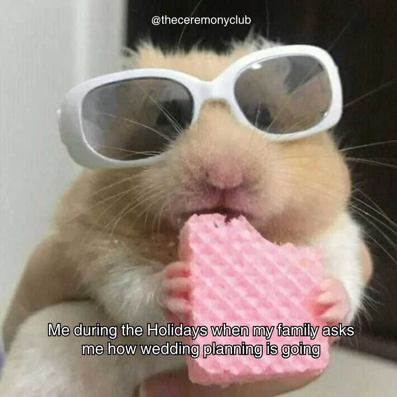 brides during the holiday season and staying on top of wedding planning